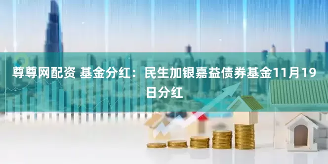 尊尊网配资 基金分红：民生加银嘉益债券基金11月19日分红
